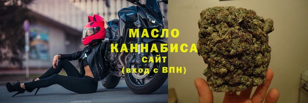 хмурый Гусев