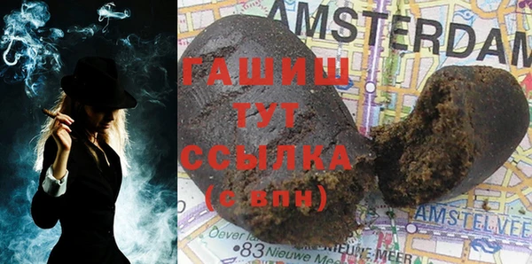 индика Надым