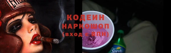 хмурый Гусев