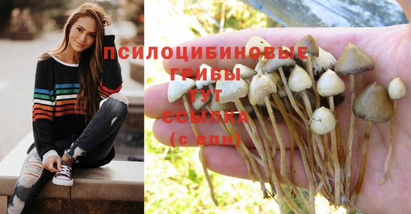 круглые Гусь-Хрустальный