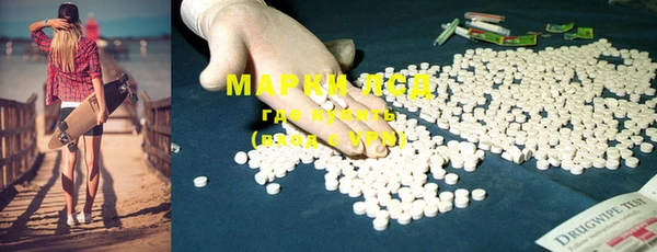 индика Надым