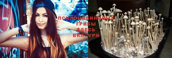 бошки Наволоки