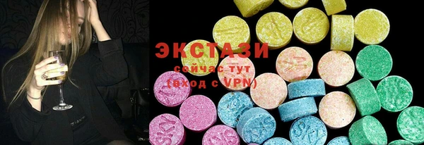 индика Надым
