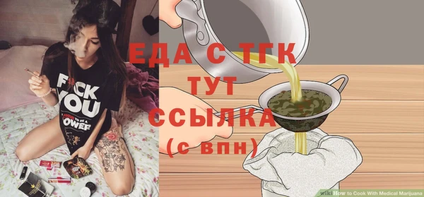 индика Надым