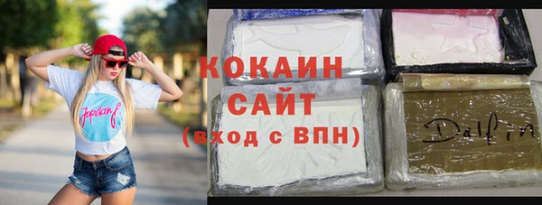 индика Надым